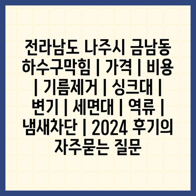 전라남도 나주시 금남동 하수구막힘 | 가격 | 비용 | 기름제거 | 싱크대 | 변기 | 세면대 | 역류 | 냄새차단 | 2024 후기