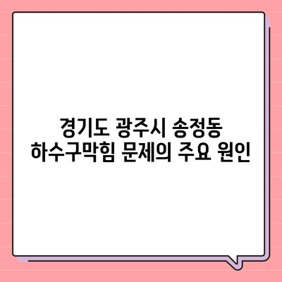 경기도 광주시 송정동 하수구막힘 | 가격 | 비용 | 기름제거 | 싱크대 | 변기 | 세면대 | 역류 | 냄새차단 | 2024 후기