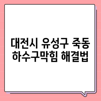 대전시 유성구 죽동 하수구막힘 | 가격 | 비용 | 기름제거 | 싱크대 | 변기 | 세면대 | 역류 | 냄새차단 | 2024 후기