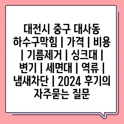 대전시 중구 대사동 하수구막힘 | 가격 | 비용 | 기름제거 | 싱크대 | 변기 | 세면대 | 역류 | 냄새차단 | 2024 후기