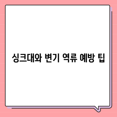 제주도 제주시 한경면 하수구막힘 | 가격 | 비용 | 기름제거 | 싱크대 | 변기 | 세면대 | 역류 | 냄새차단 | 2024 후기