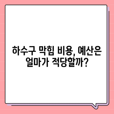 강원도 횡성군 둔내면 하수구막힘 | 가격 | 비용 | 기름제거 | 싱크대 | 변기 | 세면대 | 역류 | 냄새차단 | 2024 후기