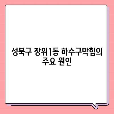 서울시 성북구 장위1동 하수구막힘 | 가격 | 비용 | 기름제거 | 싱크대 | 변기 | 세면대 | 역류 | 냄새차단 | 2024 후기