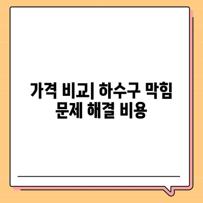 대전시 중구 대사동 하수구막힘 | 가격 | 비용 | 기름제거 | 싱크대 | 변기 | 세면대 | 역류 | 냄새차단 | 2024 후기