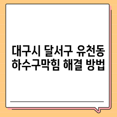 대구시 달서구 유천동 하수구막힘 | 가격 | 비용 | 기름제거 | 싱크대 | 변기 | 세면대 | 역류 | 냄새차단 | 2024 후기