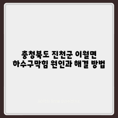 충청북도 진천군 이월면 하수구막힘 | 가격 | 비용 | 기름제거 | 싱크대 | 변기 | 세면대 | 역류 | 냄새차단 | 2024 후기