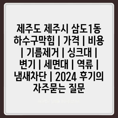 제주도 제주시 삼도1동 하수구막힘 | 가격 | 비용 | 기름제거 | 싱크대 | 변기 | 세면대 | 역류 | 냄새차단 | 2024 후기