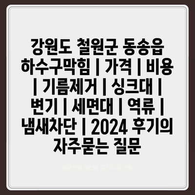 강원도 철원군 동송읍 하수구막힘 | 가격 | 비용 | 기름제거 | 싱크대 | 변기 | 세면대 | 역류 | 냄새차단 | 2024 후기