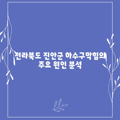 전라북도 진안군 마령면 하수구막힘 | 가격 | 비용 | 기름제거 | 싱크대 | 변기 | 세면대 | 역류 | 냄새차단 | 2024 후기