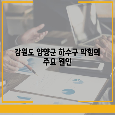 강원도 양양군 양양읍 하수구막힘 | 가격 | 비용 | 기름제거 | 싱크대 | 변기 | 세면대 | 역류 | 냄새차단 | 2024 후기