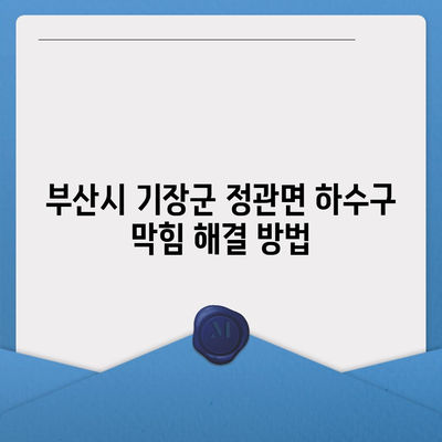 부산시 기장군 정관면 하수구막힘 | 가격 | 비용 | 기름제거 | 싱크대 | 변기 | 세면대 | 역류 | 냄새차단 | 2024 후기