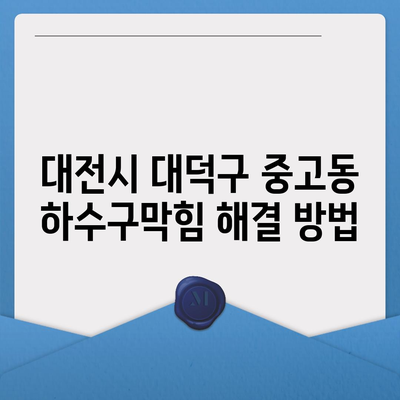 대전시 대덕구 중고동 하수구막힘 | 가격 | 비용 | 기름제거 | 싱크대 | 변기 | 세면대 | 역류 | 냄새차단 | 2024 후기