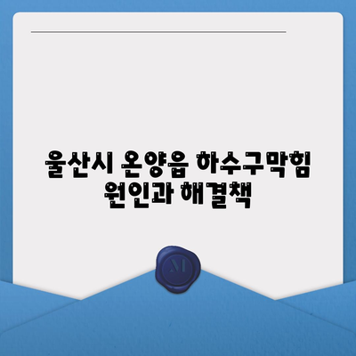 울산시 울주군 온양읍 하수구막힘 | 가격 | 비용 | 기름제거 | 싱크대 | 변기 | 세면대 | 역류 | 냄새차단 | 2024 후기