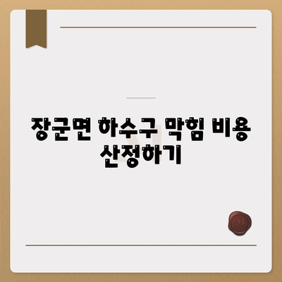 세종시 세종특별자치시 장군면 하수구막힘 | 가격 | 비용 | 기름제거 | 싱크대 | 변기 | 세면대 | 역류 | 냄새차단 | 2024 후기