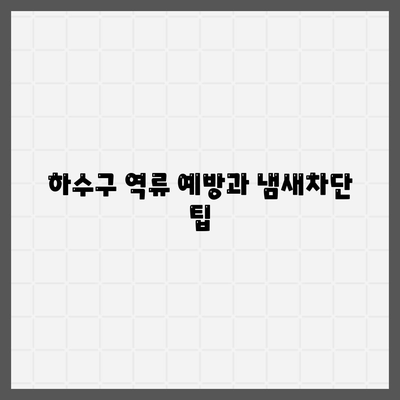 경상남도 진주시 중앙동 하수구막힘 | 가격 | 비용 | 기름제거 | 싱크대 | 변기 | 세면대 | 역류 | 냄새차단 | 2024 후기