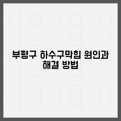 인천시 부평구 부개3동 하수구막힘 | 가격 | 비용 | 기름제거 | 싱크대 | 변기 | 세면대 | 역류 | 냄새차단 | 2024 후기