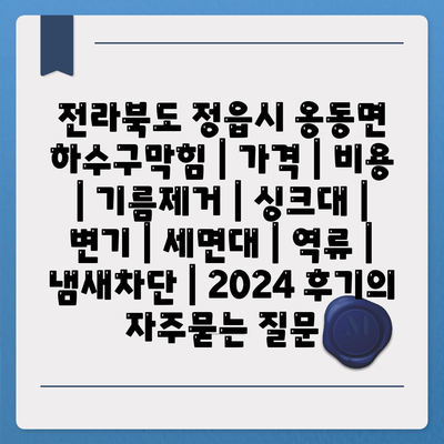 전라북도 정읍시 옹동면 하수구막힘 | 가격 | 비용 | 기름제거 | 싱크대 | 변기 | 세면대 | 역류 | 냄새차단 | 2024 후기