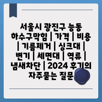 서울시 광진구 능동 하수구막힘 | 가격 | 비용 | 기름제거 | 싱크대 | 변기 | 세면대 | 역류 | 냄새차단 | 2024 후기