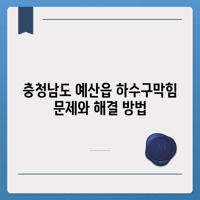 충청남도 예산군 예산읍 하수구막힘 | 가격 | 비용 | 기름제거 | 싱크대 | 변기 | 세면대 | 역류 | 냄새차단 | 2024 후기