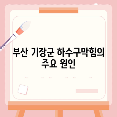 부산시 기장군 정관면 하수구막힘 | 가격 | 비용 | 기름제거 | 싱크대 | 변기 | 세면대 | 역류 | 냄새차단 | 2024 후기