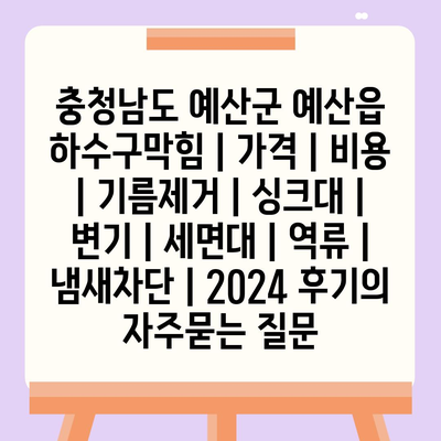 충청남도 예산군 예산읍 하수구막힘 | 가격 | 비용 | 기름제거 | 싱크대 | 변기 | 세면대 | 역류 | 냄새차단 | 2024 후기