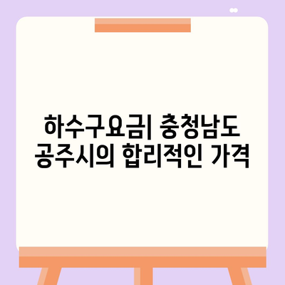 충청남도 공주시 월송동 하수구막힘 | 가격 | 비용 | 기름제거 | 싱크대 | 변기 | 세면대 | 역류 | 냄새차단 | 2024 후기