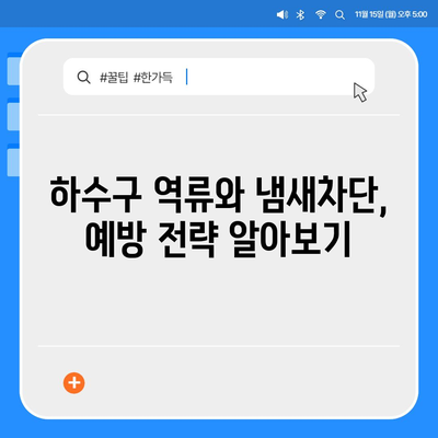 전라남도 신안군 안좌면 하수구막힘 | 가격 | 비용 | 기름제거 | 싱크대 | 변기 | 세면대 | 역류 | 냄새차단 | 2024 후기