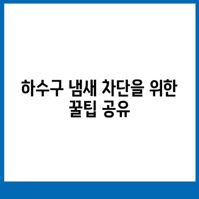 경기도 포천시 신북면 하수구막힘 | 가격 | 비용 | 기름제거 | 싱크대 | 변기 | 세면대 | 역류 | 냄새차단 | 2024 후기