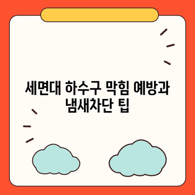 충청남도 예산군 고덕면 하수구막힘 | 가격 | 비용 | 기름제거 | 싱크대 | 변기 | 세면대 | 역류 | 냄새차단 | 2024 후기