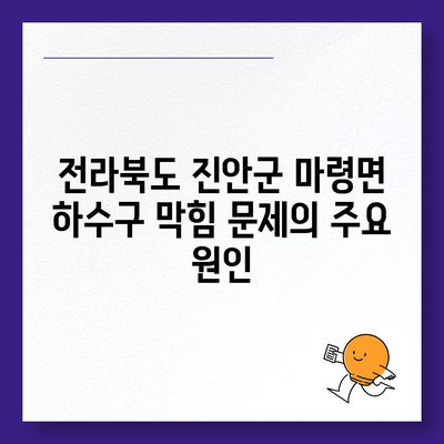 전라북도 진안군 마령면 하수구막힘 | 가격 | 비용 | 기름제거 | 싱크대 | 변기 | 세면대 | 역류 | 냄새차단 | 2024 후기