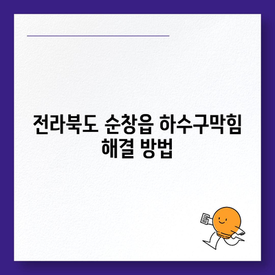 전라북도 순창군 순창읍 하수구막힘 | 가격 | 비용 | 기름제거 | 싱크대 | 변기 | 세면대 | 역류 | 냄새차단 | 2024 후기