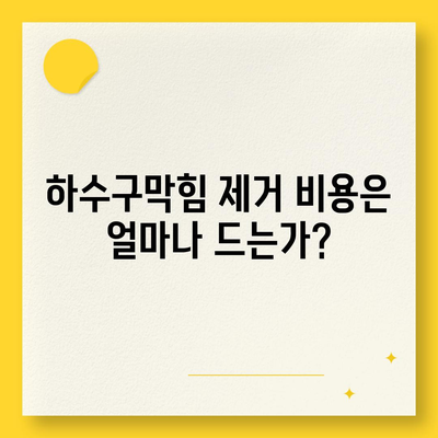 강원도 철원군 동송읍 하수구막힘 | 가격 | 비용 | 기름제거 | 싱크대 | 변기 | 세면대 | 역류 | 냄새차단 | 2024 후기