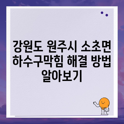 강원도 원주시 소초면 하수구막힘 | 가격 | 비용 | 기름제거 | 싱크대 | 변기 | 세면대 | 역류 | 냄새차단 | 2024 후기