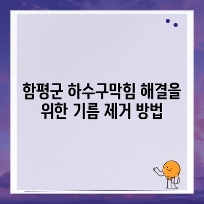 전라남도 함평군 엄다면 하수구막힘 | 가격 | 비용 | 기름제거 | 싱크대 | 변기 | 세면대 | 역류 | 냄새차단 | 2024 후기