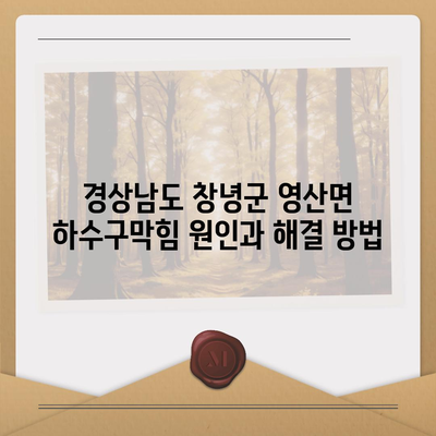 경상남도 창녕군 영산면 하수구막힘 | 가격 | 비용 | 기름제거 | 싱크대 | 변기 | 세면대 | 역류 | 냄새차단 | 2024 후기