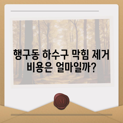 강원도 원주시 행구동 하수구막힘 | 가격 | 비용 | 기름제거 | 싱크대 | 변기 | 세면대 | 역류 | 냄새차단 | 2024 후기