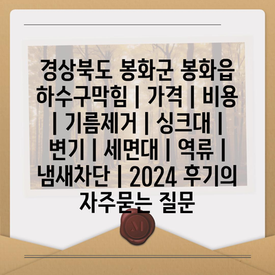 경상북도 봉화군 봉화읍 하수구막힘 | 가격 | 비용 | 기름제거 | 싱크대 | 변기 | 세면대 | 역류 | 냄새차단 | 2024 후기