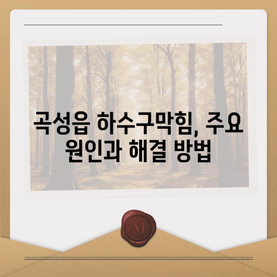 전라남도 곡성군 곡성읍 하수구막힘 | 가격 | 비용 | 기름제거 | 싱크대 | 변기 | 세면대 | 역류 | 냄새차단 | 2024 후기