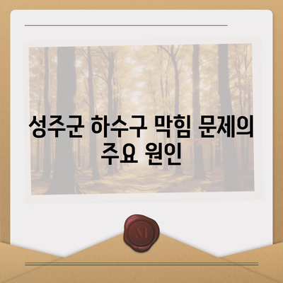 경상북도 성주군 초전면 하수구막힘 | 가격 | 비용 | 기름제거 | 싱크대 | 변기 | 세면대 | 역류 | 냄새차단 | 2024 후기