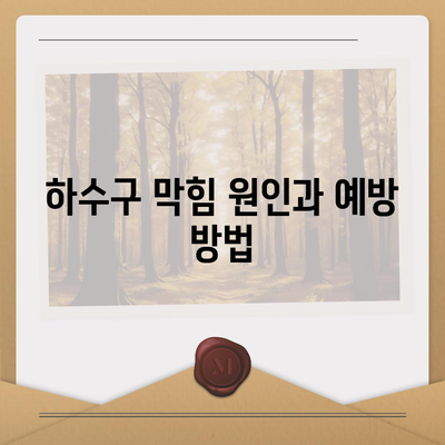 강원도 횡성군 횡성읍 하수구막힘 | 가격 | 비용 | 기름제거 | 싱크대 | 변기 | 세면대 | 역류 | 냄새차단 | 2024 후기