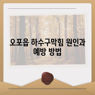 경기도 광주시 오포읍 하수구막힘 | 가격 | 비용 | 기름제거 | 싱크대 | 변기 | 세면대 | 역류 | 냄새차단 | 2024 후기