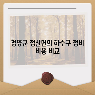 충청남도 청양군 정산면 하수구막힘 | 가격 | 비용 | 기름제거 | 싱크대 | 변기 | 세면대 | 역류 | 냄새차단 | 2024 후기