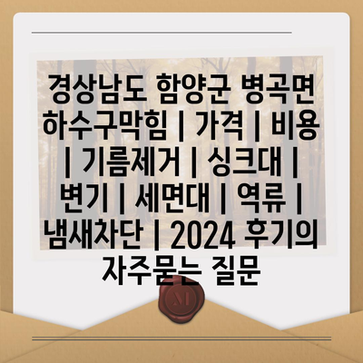 경상남도 함양군 병곡면 하수구막힘 | 가격 | 비용 | 기름제거 | 싱크대 | 변기 | 세면대 | 역류 | 냄새차단 | 2024 후기