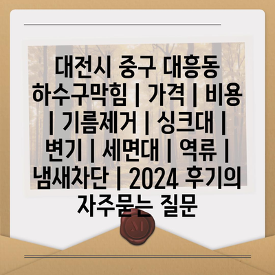 대전시 중구 대흥동 하수구막힘 | 가격 | 비용 | 기름제거 | 싱크대 | 변기 | 세면대 | 역류 | 냄새차단 | 2024 후기