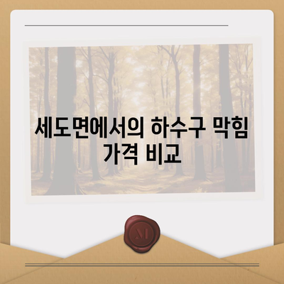 충청남도 부여군 세도면 하수구막힘 | 가격 | 비용 | 기름제거 | 싱크대 | 변기 | 세면대 | 역류 | 냄새차단 | 2024 후기