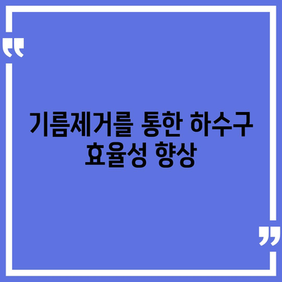 대전시 유성구 죽동 하수구막힘 | 가격 | 비용 | 기름제거 | 싱크대 | 변기 | 세면대 | 역류 | 냄새차단 | 2024 후기