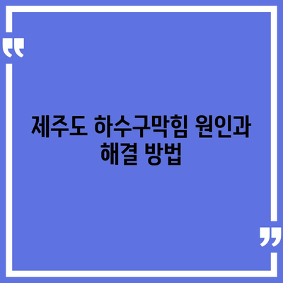 제주도 제주시 오라동 하수구막힘 | 가격 | 비용 | 기름제거 | 싱크대 | 변기 | 세면대 | 역류 | 냄새차단 | 2024 후기