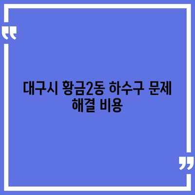 대구시 수성구 황금2동 하수구막힘 | 가격 | 비용 | 기름제거 | 싱크대 | 변기 | 세면대 | 역류 | 냄새차단 | 2024 후기