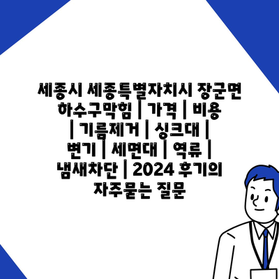 세종시 세종특별자치시 장군면 하수구막힘 | 가격 | 비용 | 기름제거 | 싱크대 | 변기 | 세면대 | 역류 | 냄새차단 | 2024 후기