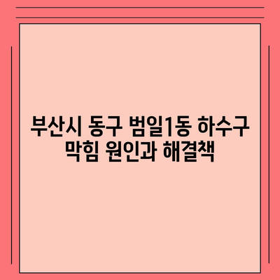 부산시 동구 범일1동 하수구막힘 | 가격 | 비용 | 기름제거 | 싱크대 | 변기 | 세면대 | 역류 | 냄새차단 | 2024 후기